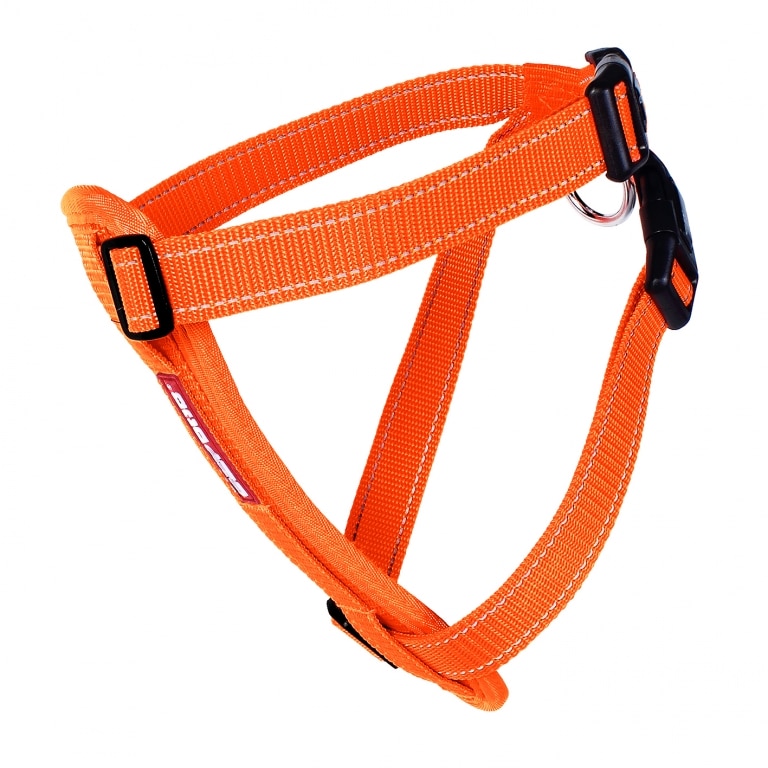 Chest Plate Dog Harness EzyDog South Africa