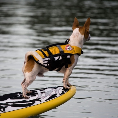 DFD Micro Dog Life Jacket - yellow