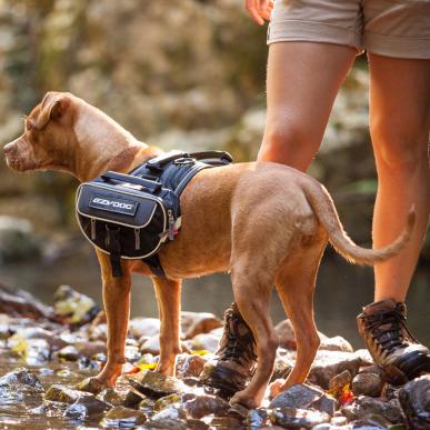 Convert Saddle Bags lifestyle