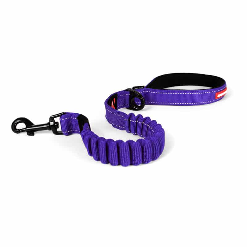 ZeroShock25_Purple_HR.jpg