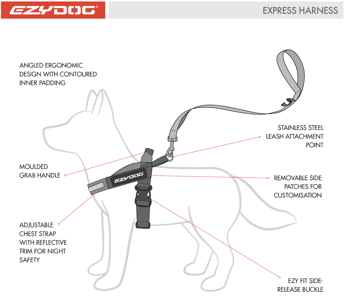 Express dog harness size illustration