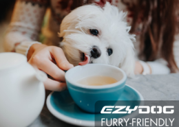 EzyDog Pet Friendly Cafes